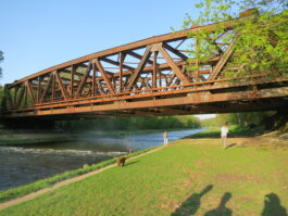  Die rostige Eisenbahnbrücke in den Langen Erlen